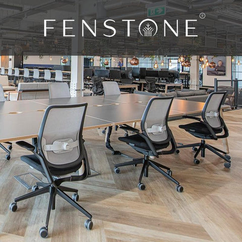 Ergonomic Office Seating from Fenstone