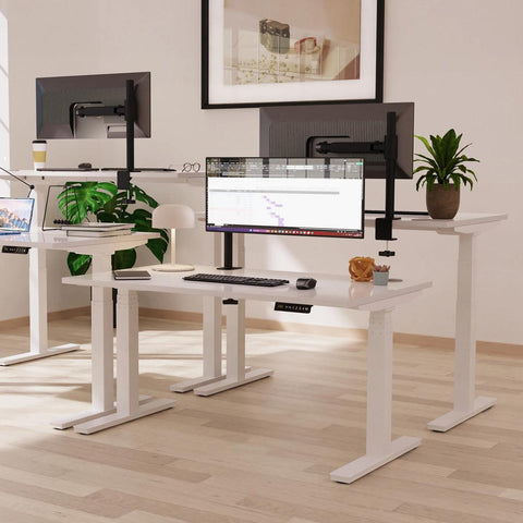 Electrically Height Adjustable Desks from Fenstone