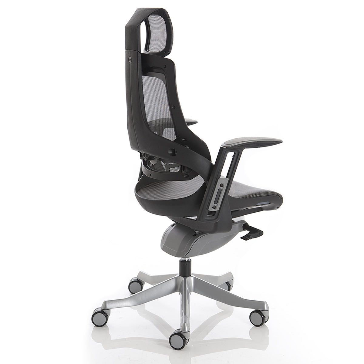 Adaptive Ergo Chair No Headrest