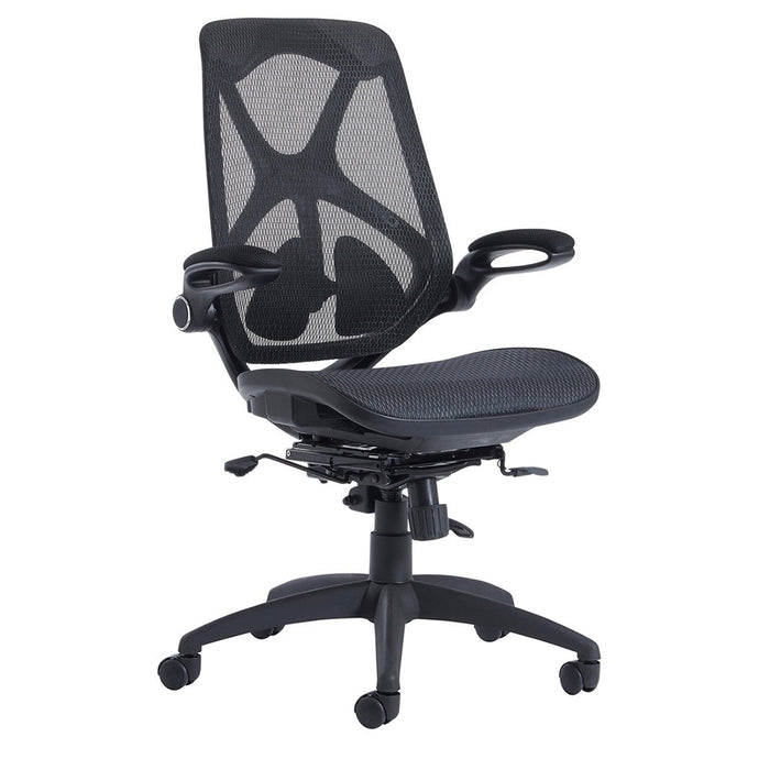 Napier Ergonomic Office Chair 