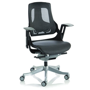 Adaptive Ergo Chair No Headrest