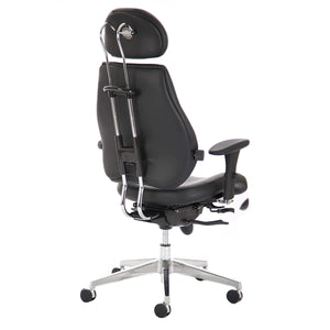 Embrace Posture Chair Back