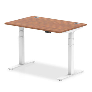 Black and White Electric Standing Up Desk