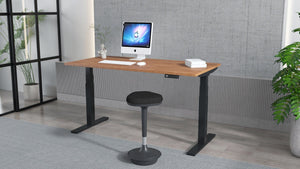  justable-desk  Standing Desk