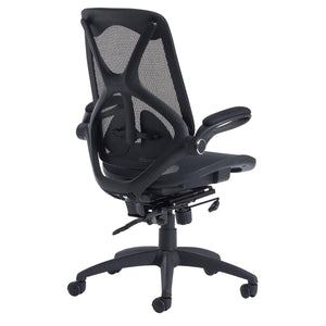 Napier Ergonomic Office Chair 