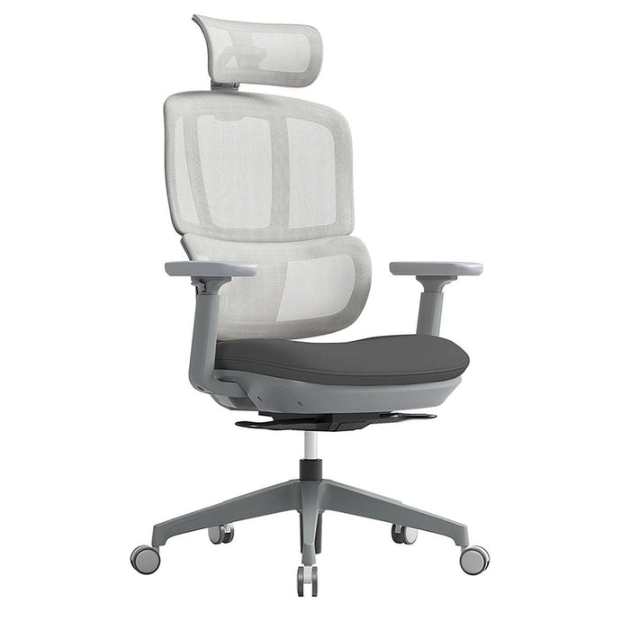 Shelby Ergonomic Mesh Office Chair 