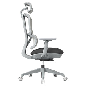 Shelby Ergonomic Mesh Office Chair - Fenstone®